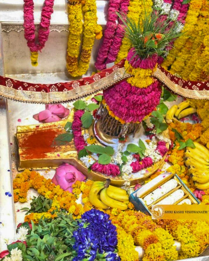 Kashi Vishwanath Temple